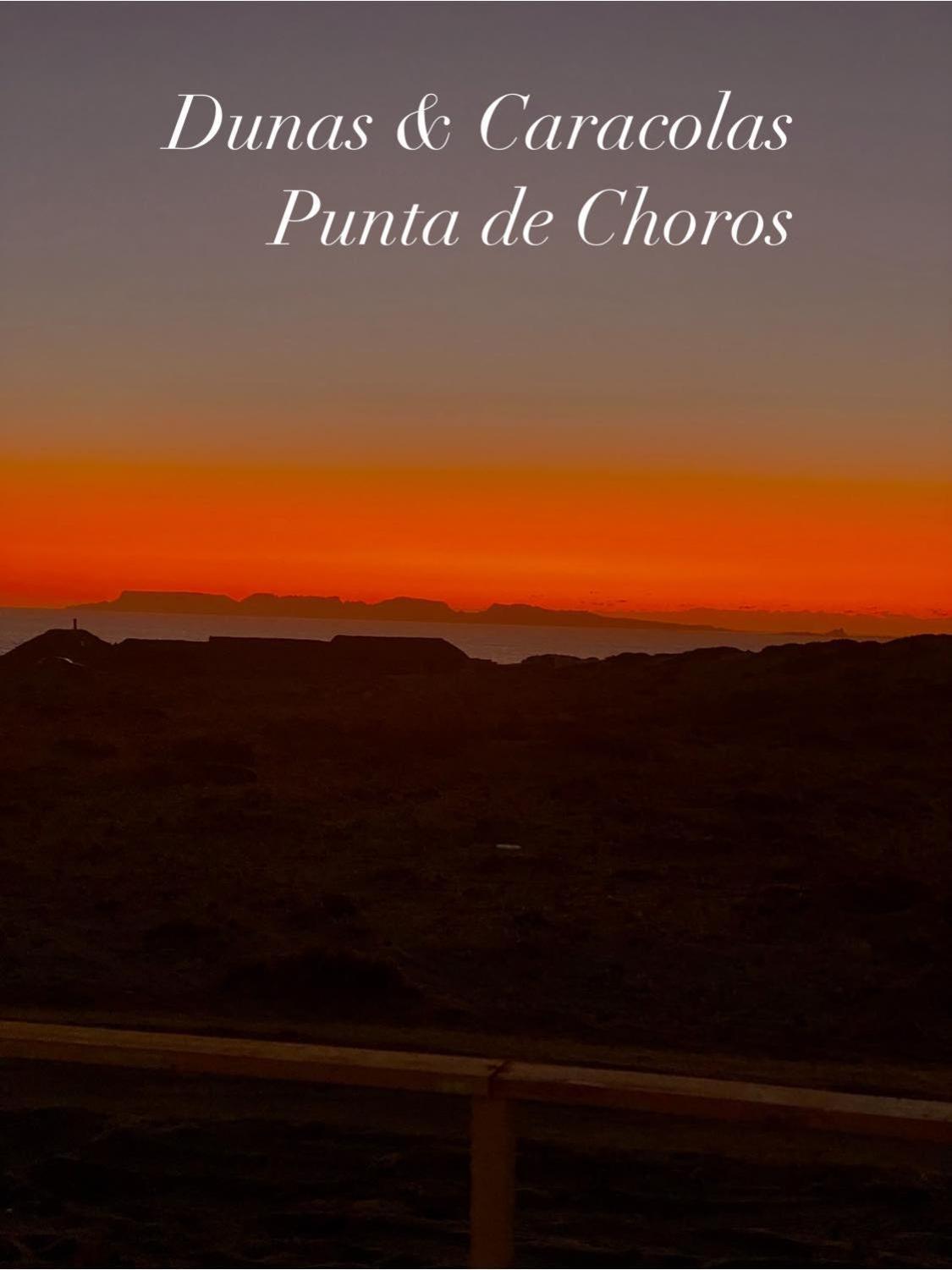 Entre Dunas Y Caracolas Punta de Choros Ngoại thất bức ảnh