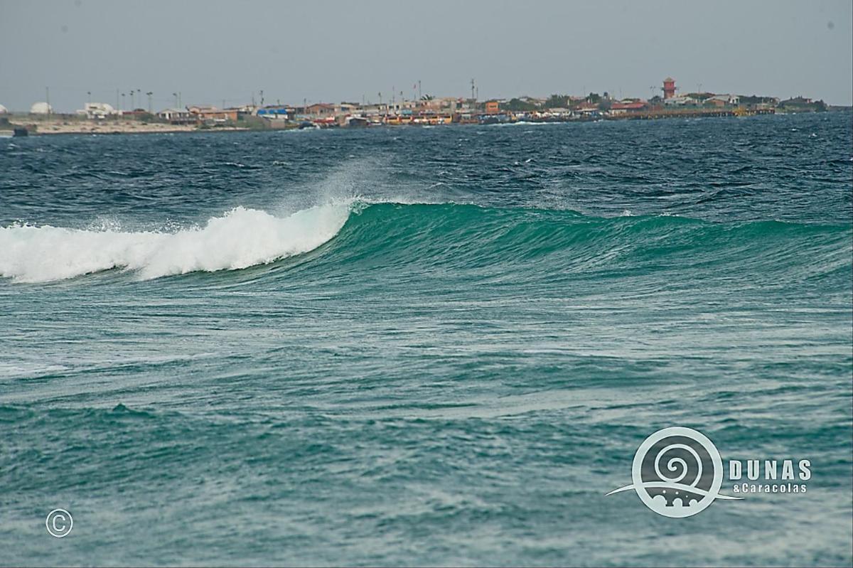 Entre Dunas Y Caracolas Hotel Punta de Choros Ngoại thất bức ảnh