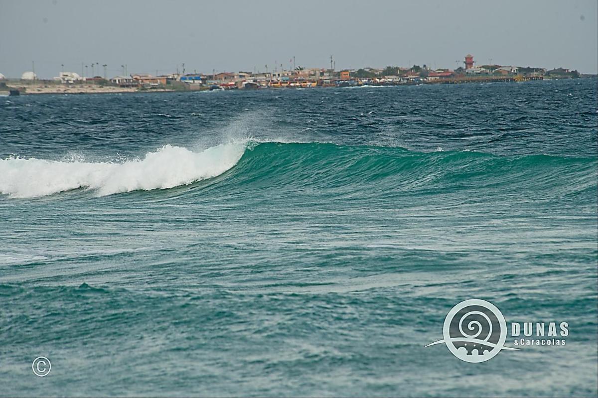 Entre Dunas Y Caracolas Punta de Choros Ngoại thất bức ảnh
